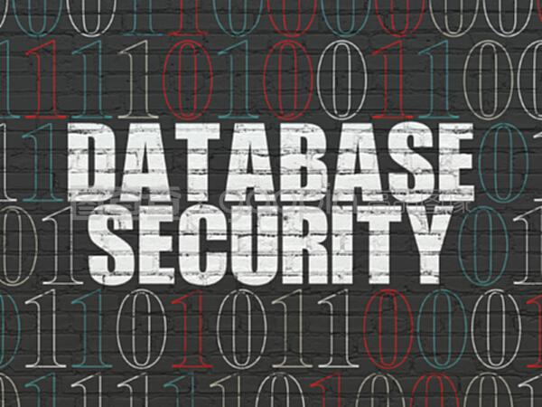 Wall背景下的软件概念数据库安全性 网络与信息安全软件开发策略